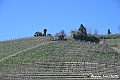 VBS_8901- Risvegli